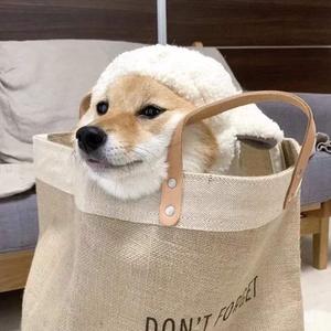 亚洲欧美激情另类
